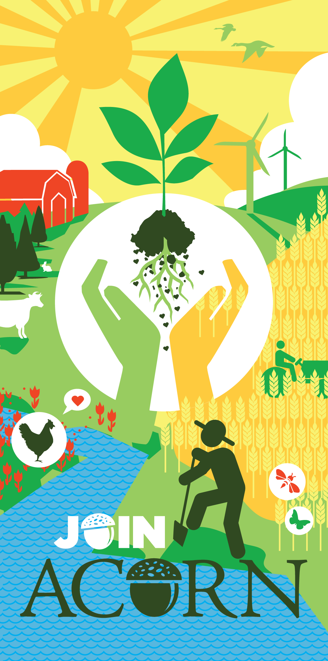 Acorn artwork